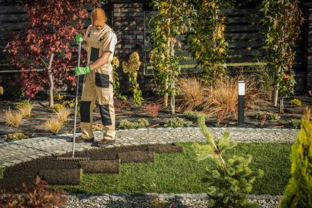 Caucasian Professional Gardener in His 30s Finishing New Garden Grass Turfs Installation. Gardening Industry Theme.